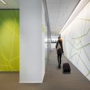 Glass partitions walls with glass doors