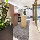 High-quality glass partitions for offices