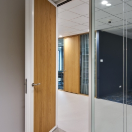 High acoustic aluminum framed door with wood panel