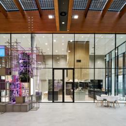 A total overview of the high partition walls at the entrance