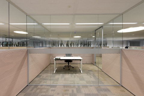 Partition wall to divide office