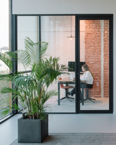 Glass partition at Greystone Antwerpen 